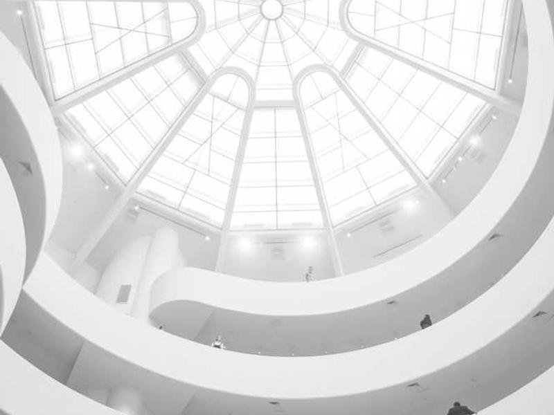 Edderkopper i boligen: saklige grep for deg som ønsker færre av dem